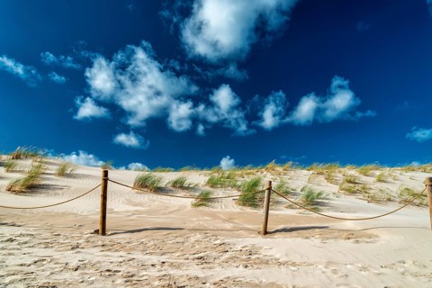 Dunes on the Baltic Sea with marram grass