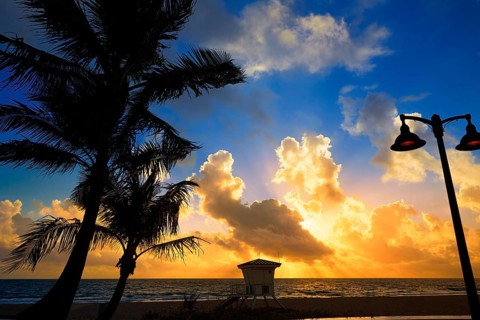 Fort Lauderdale beach morning sunrise in Florida USA palm trees