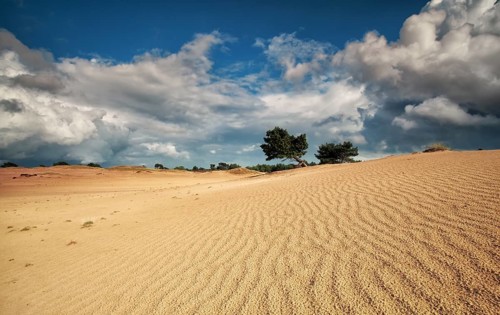 Sand dune textures and stormy sky in summer