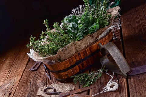 Herbal collection of: thyme, oregano, rosemary