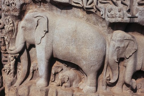 Close up of statue at Mamallapuram, Mahabalipuram, Tamil Nadu, India, Asia