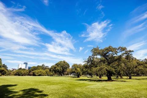 Shinjuku Gyo-en is a large park and garden in Shinjuku and Shibuya, Tokyo, Japan, Asia