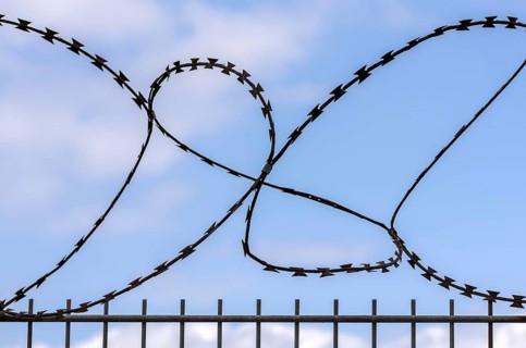 Barbed wire on the fence