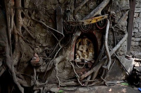 Deity in tree roots, Kolkata, West Bengal, India, Asia