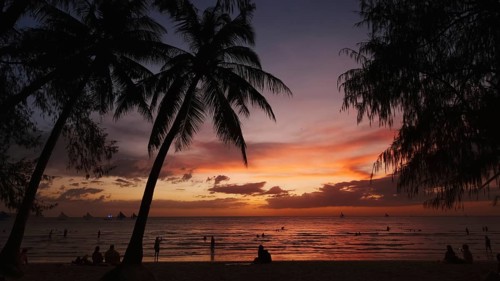 Silhouetted people and palms near sea. Sunset at tropical White beach, Boracay island, Philippines,