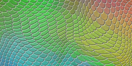 Colorful mermaid scales, fish scale, Fantasy texture