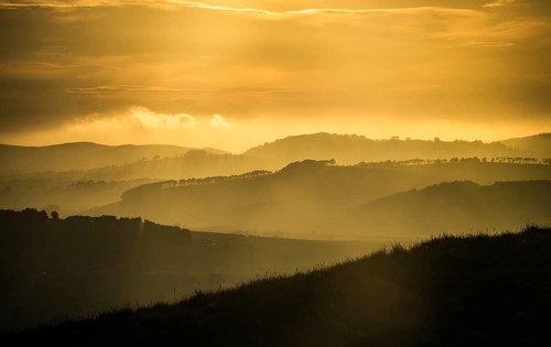Beautiful Magic Hour Light Over Misty Rolling Hills