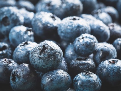 Extreme close up view of blueberries. Selective focus. Copy space. Bilberry on wooden Background.