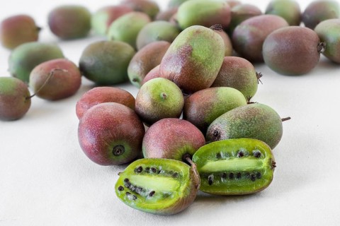 Kiwi berries