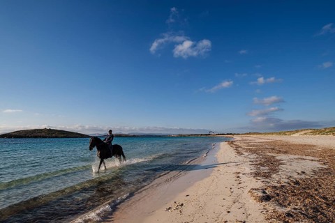 Illetes beach, riding a horse, Formentera, Pitiusas Islands, Balearic Community, Spain, Europe