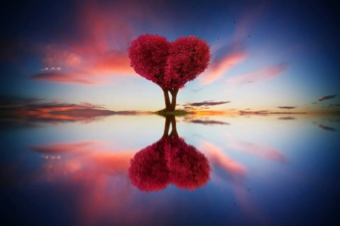 Abstraktes Bild von einsam rotem Farbblatt und Liebe Form Baum bei Sonnenaufgang Szene mit