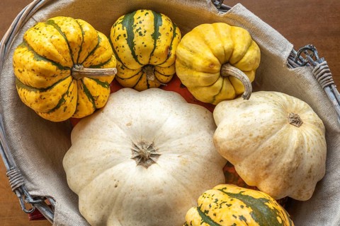 Pumpkin, patisson and jack be little in a decorative basket on a table