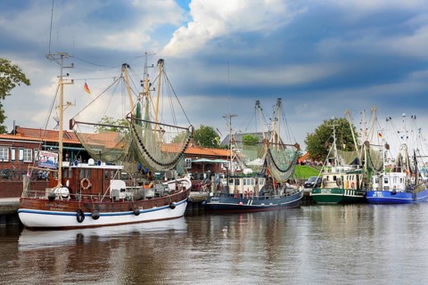 Traditional shrimp boats in the harbour of Greetsiel, East Frisia, Germany, Europe
