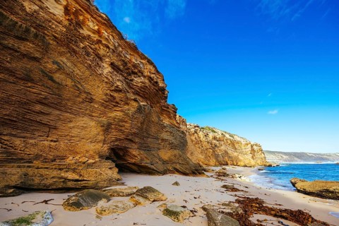 Fingal Beach as part of the Mornington Peninsula Coastal Walk on a warm winter's day near