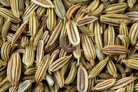 Dried fennel seeds aromatic spice, food background