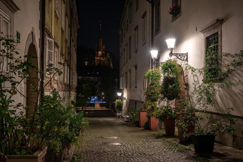 Scenic little Krizevniska alley in Ljubljana illuminated at night, arranged with plants at the