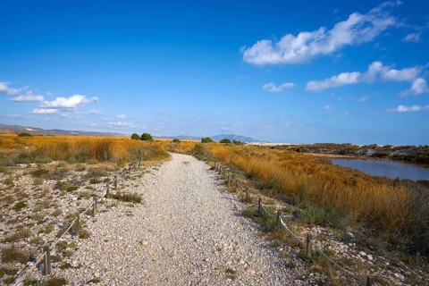 Prat Cabanes Torreblanca Natural Park in Castellon of Spain