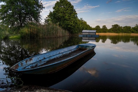 Fishing boat in the reeds