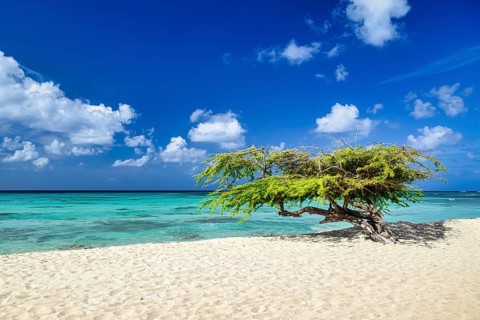 A panoramic view of Arashi Beach on the island of Aruba in the Caribbean with blue skies and white