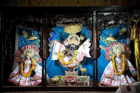 Statue radha gopinath ji temple, vrindavan, uttar pradesh, india, asia