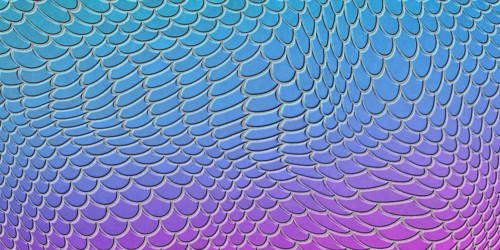 Blue pink mermaid scales, fish scale, Fantasy texture