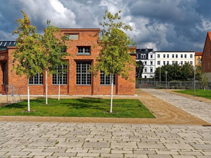 Moritzburg Castle and Castle Park in Zeitz, Burgenlandkreis, Saxony-Anhalt, Germany, Europe