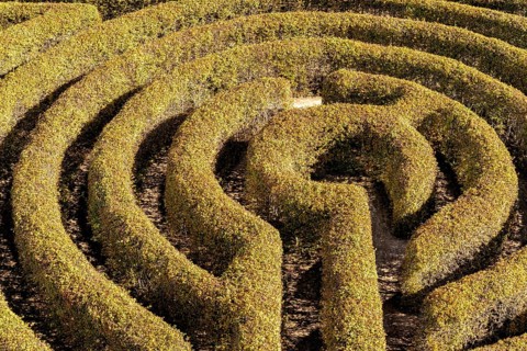 Labyrinth in a botanical garden in Poland