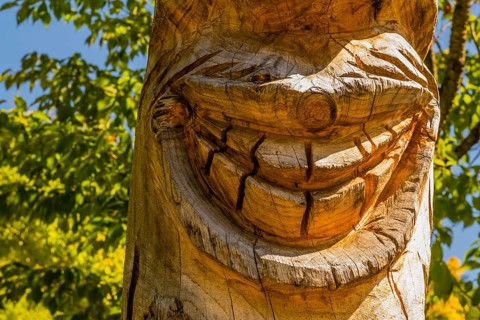Boeun-gun, South Korea, September 13, 2019: Closeup of smile of Korean jangseung (village guardian)