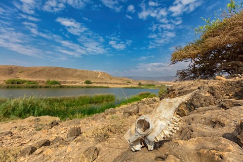 Landscape, Oman, Wadi Darbat, Khor Rori, Khawr Rawri, Mountain, Reeds, Rock, Stone, Skull,