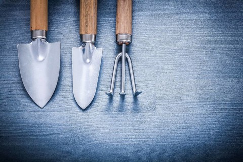Two garden spades and fork