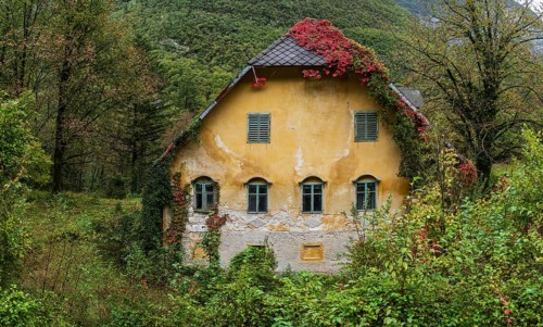 Old abandoned house, Bav?ica Valley in Triglav National Park, Bovec, Julian Alps. Slovenia, Central