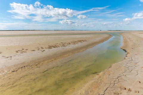 Typical landscape in a lagoon of the Rhone delta in the Camargue. Saintes Maries de la Mer, Parc
