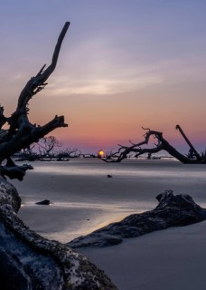 Sunrise landscape with sun low over the horizon on a beach with dead trees and driftwood