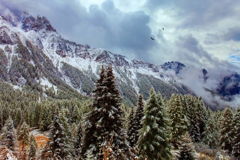 Italy. Passo Rolle. The famous picturesque pass in the Dolomites. First snow on mountain peaks.