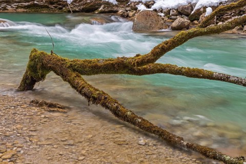 At the Rissbach in winter