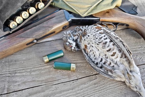 Hunting rifle, bandoleer belt with cartridges, bag and hazel grouse on the background of wooden
