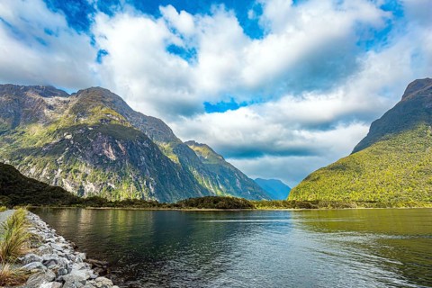 Fiordland park. The magical nature of the southern hemisphere. South Island, New Zealand. Port of