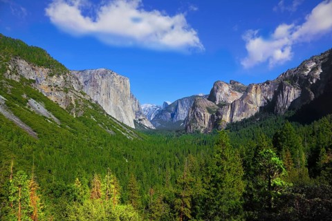 Magnificent panorama of mountains and woods of national park Yosemite, California