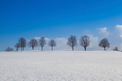 Winter landscape under blue sky