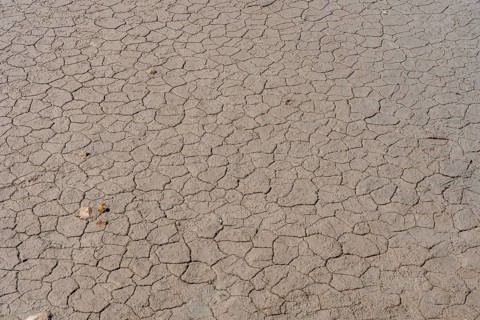 Dry, cracked earth texture reveals the devastating effects of severe drought conditions,