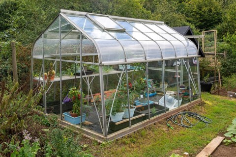 Glass greenhouse vegetables growing inside, England, UK