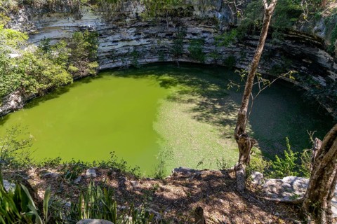 Sacred Cenote, Chichen Itzá, Mayan ruins, Yucatan, Mexico, Central America