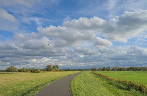 Havel cycle path, meadows, dyke, Havel floodplain north of Phöben, Brandenburg, Germany, Europe