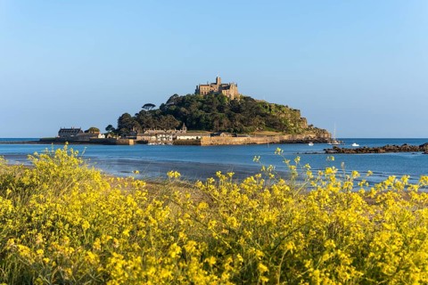 View of St Michaels Mount, from Marazion Beach. Yellow flowers in front. St Michael's Mount,