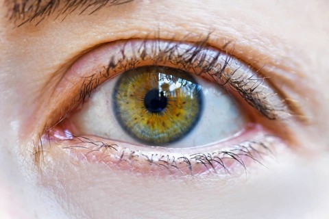 Close up of woman's hazel eye without any makeup