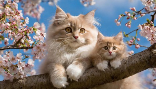 KI generated, animal, animals, mammal, mammals, cat, felidae (Felis catus), pedigree cat, pedigree