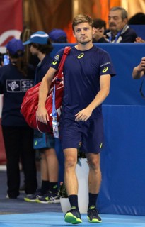 Sofia, Bulgaria - February 12, 2017: David Goffin from Belgium (pictured) before playing against