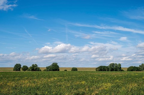 Wide field under blue sky with fluffy clouds, radiates peace, Dollart, Leer, East Frisia