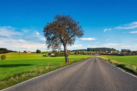 Country road, meadows and forest, blue sky near Leutkirch, Allgäu, Bavaria, Germany, Europe