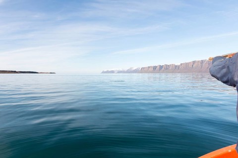 Greenlandic man hunting for seal in Greenland, pointing the gun towards the water, Greenland, North